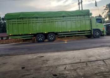 “Pengawasan Mandul! Tronton Batubara Bebas Beraksi, Aturan Cuma Pajangan?”