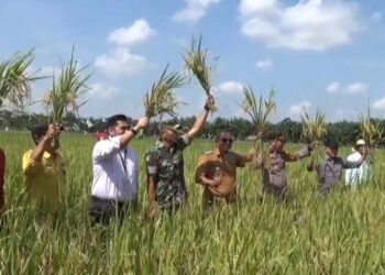 Sekda Tanjabtim Hadiri Kegiatan Gempita