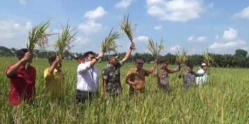 Sekda Tanjabtim Hadiri Kegiatan Gempita