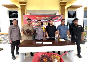 “Ironi Negeri Kaya Sumber Daya, Masyarakat Terpaksa Mencuri Sawit Demi Bertahan Hidup”
