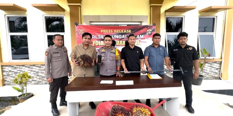 “Ironi Negeri Kaya Sumber Daya, Masyarakat Terpaksa Mencuri Sawit Demi Bertahan Hidup”