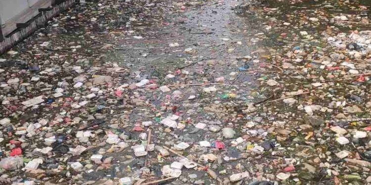 “Pencemaran Parah di Danau Sipin: Warga dan Aliansi Wartawan Desak Pemerintah Bertindak!”