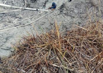 “Harga Emas atau Harga Nyawa? PETI di Merangin Ancam Warga dan Lingkungan”