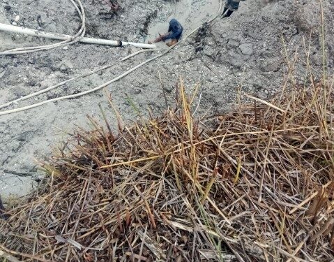 “Harga Emas atau Harga Nyawa? PETI di Merangin Ancam Warga dan Lingkungan”