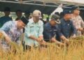 Wabub Roby Hadiri Acara Panen Raya di Kecamatan Rantau Rasau