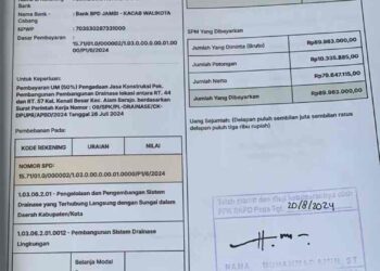 “Naziruddin alias Rudi: Honorer, Kontraktor, atau Pahlawan Drainase?”