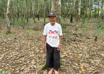 Kriminalisasi Oleh PT.Waimusi Agroindah Terhadap Masyarakat Transmigrasi Sejak 1991 Sampai Sekarang