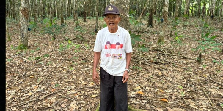 Kriminalisasi Oleh PT.Waimusi Agroindah Terhadap Masyarakat Transmigrasi Sejak 1991 Sampai Sekarang