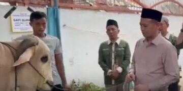 Wabub Tanjabtim Muslimin Serahkan Sapi Kurban ke Masjid Taqwa Darul Iman di Kecmatan Mendahara