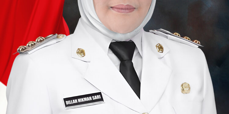 Heboh Musda Tetapkan Dillah Hich Ketua DPD PAN Tanjabtim, Diisukan Tetap ke Gerindra