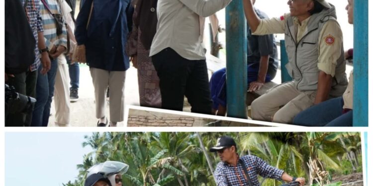 Tanjung Jabung Timur Monev Bupati dan Wakil Bupati Katakan Tiang Jembatan Sudah Keropos