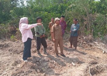 Hasnibah Wakil Ketua DPRD Tanjabtim di Dampingi Lurah Dan RT Tinjau Proyek Tanggul Penahan Banjir