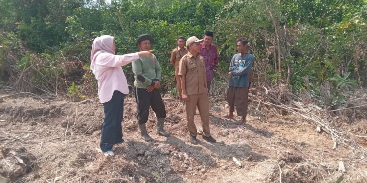 Hasnibah Wakil Ketua DPRD Tanjabtim di Dampingi Lurah Dan RT Tinjau Proyek Tanggul Penahan Banjir